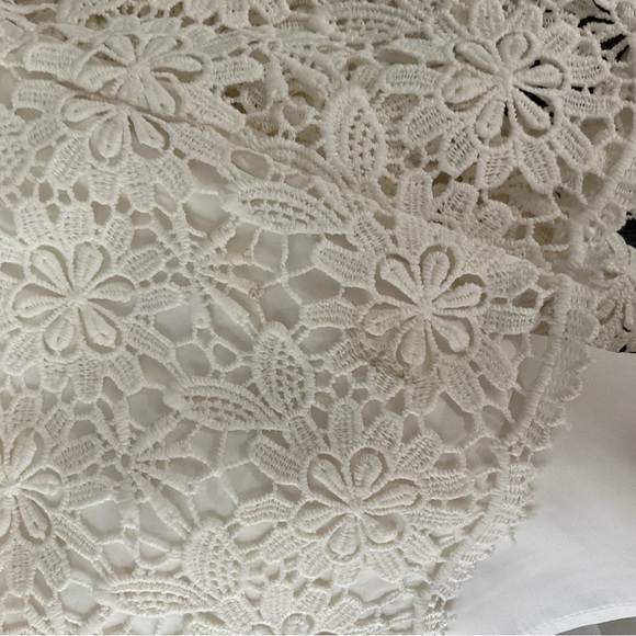 Ann Taylor Elegant White Lace Dress - Picture 5 of 6